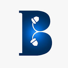 logo-Brandingnuts 